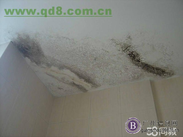广州专业房屋暗管漏水检测维修服务队